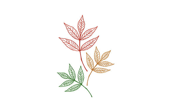 Colorful Autumn Leaves: A Designer’s Apparel Review
